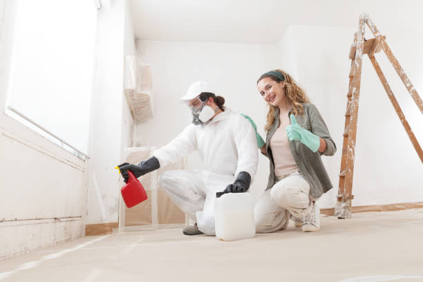 Best Environmental Consulting for Mold Prevention  in Trexlertown, PA